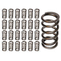 Hamilton Cams Valve Springs - 1998.5-2024 Cummins 5.9L/6.7L 24V
